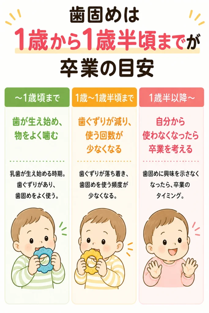 歯固めを卒業する目安を示した図