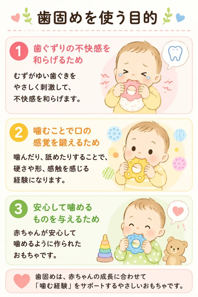 歯ぐずりの不快感を和らげ、噛むことで口の感覚を育て、安心して噛めるものを与える歯固めの3つの目的を説明したイラスト