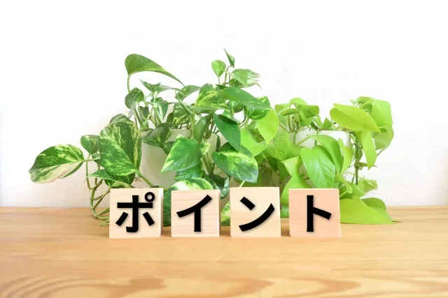 ポイントのイメージ図